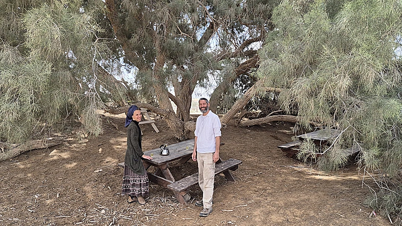 גל ורוני ממשק תושיה