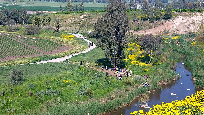 מורד הירדן פיתול אום ג'וני