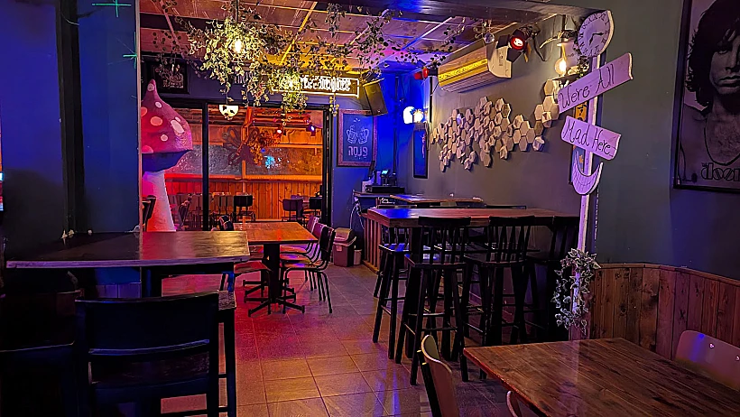 פנסה בר דגניה ב