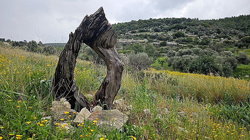 שביל ישראל עין הוד