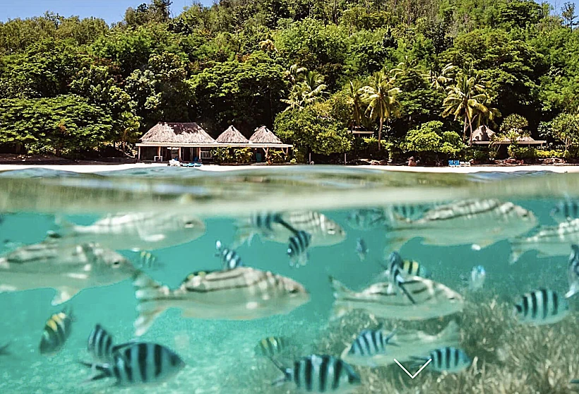 Turtle Island Resort