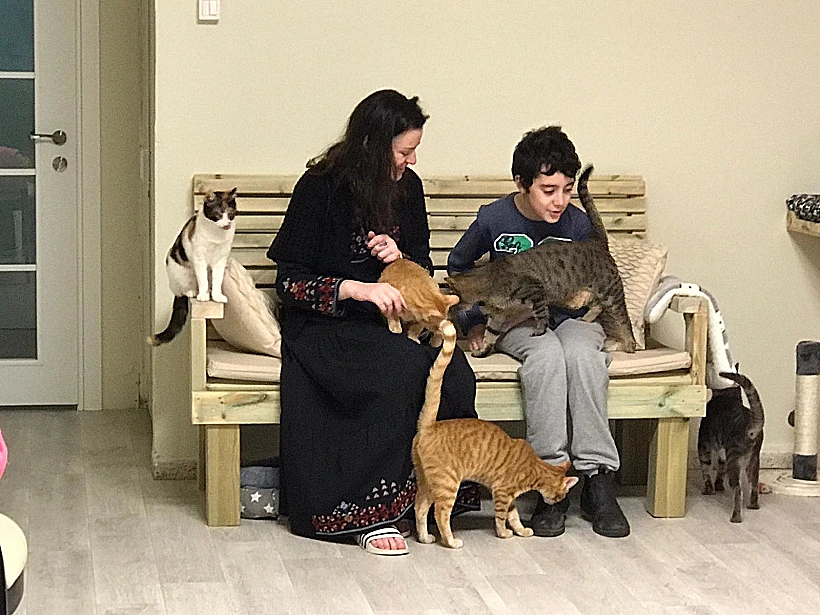 בית קפה חתולים, משען