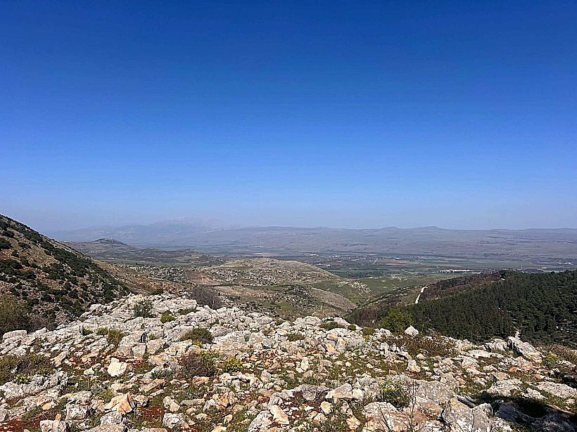 הנוף מתצפית מצוקי דלתון יער ביריה