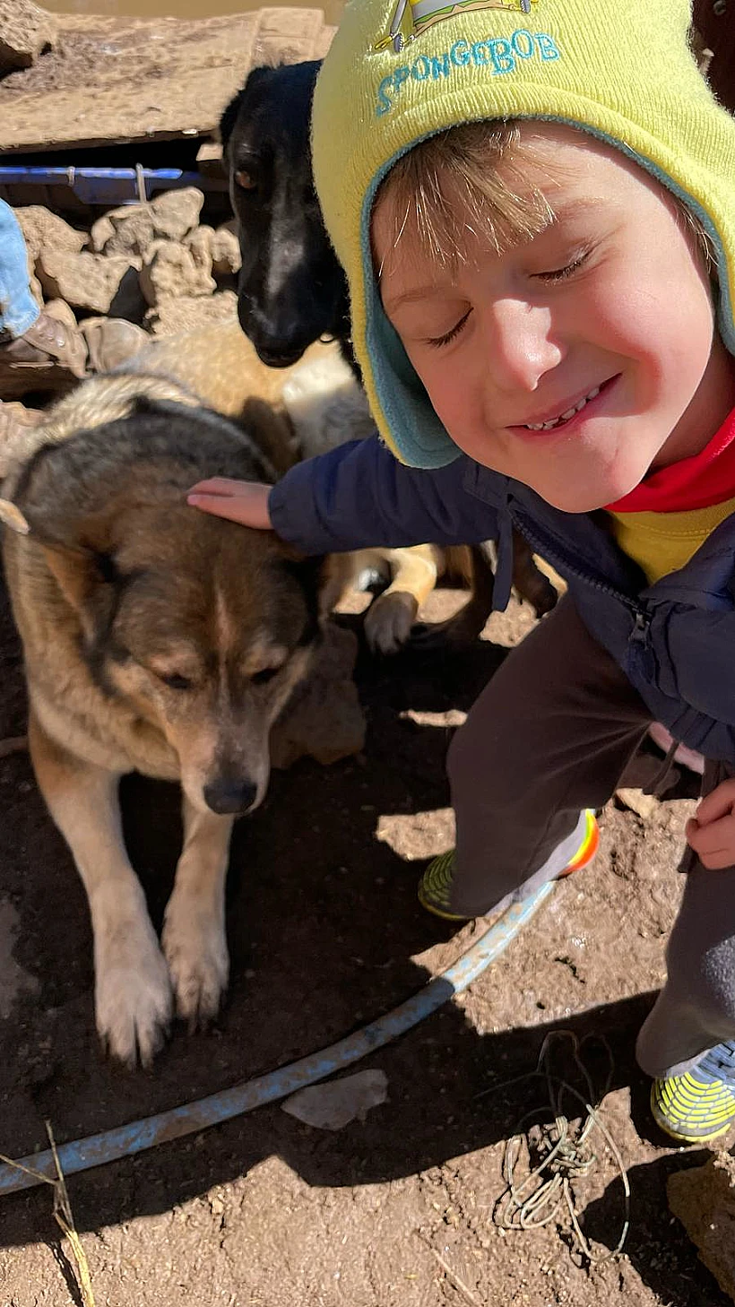 חוות החופש ביער אודם