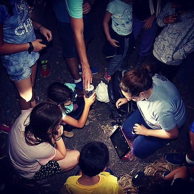 בעקבות חיות הלילה בגולן