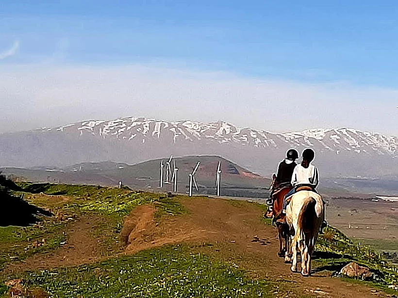 חוות הבוקרים מרום גולן