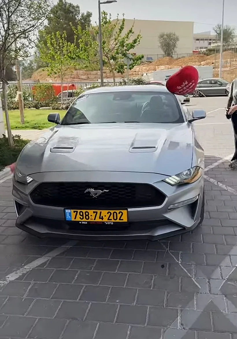 ספיר בורגיל