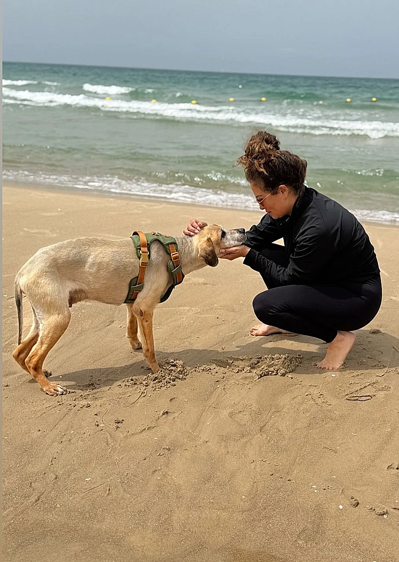 ליהיא גרינר