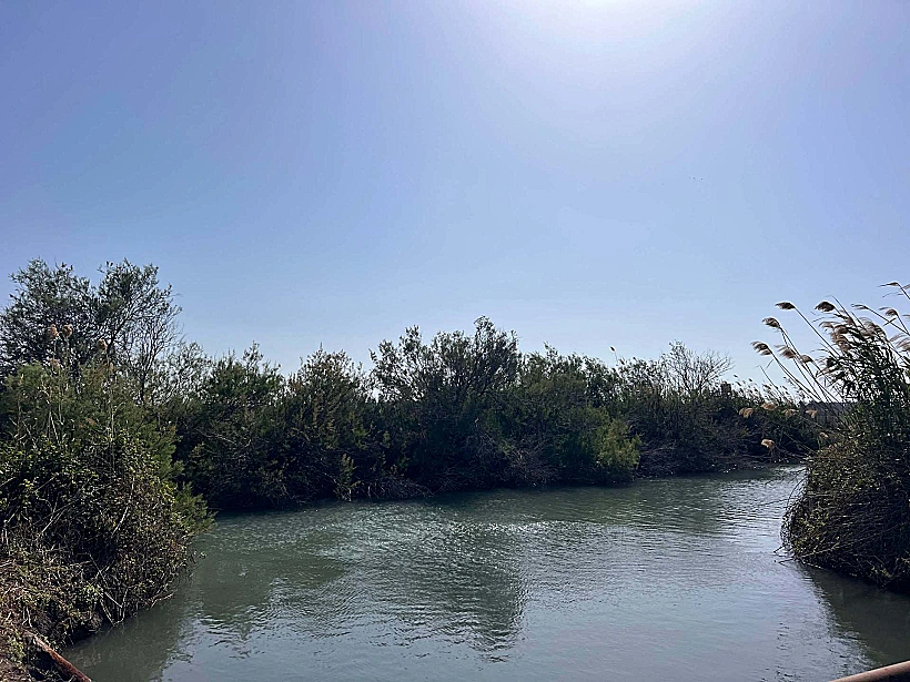 בריכת קרוקודיל