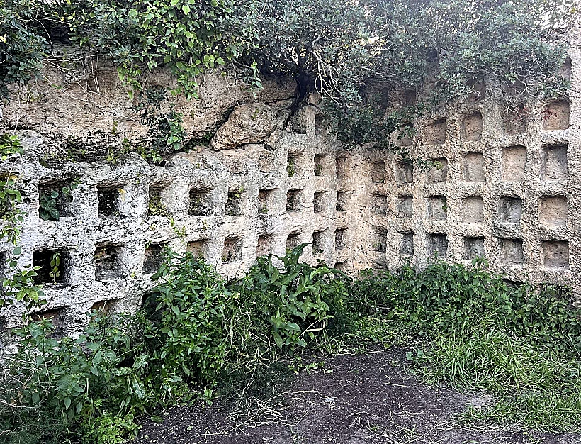 הקולומבריום בבית חנניה