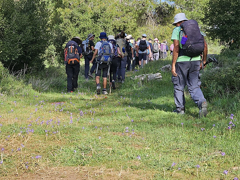 מסע "נפגשים בשביל ישראל