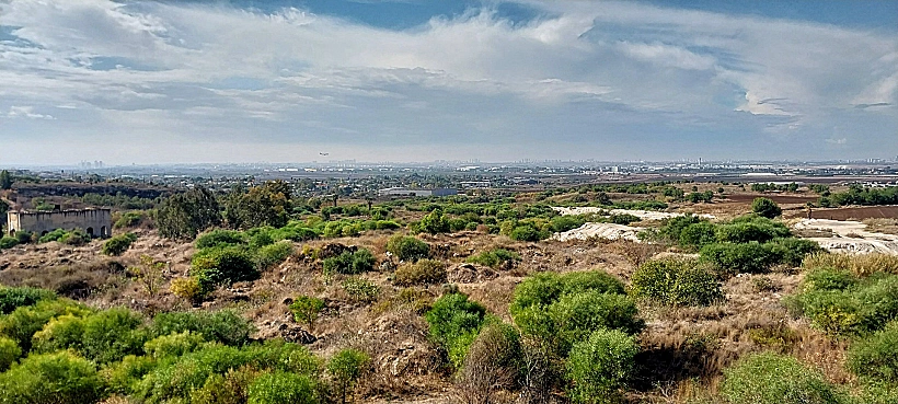תצפית על נתב"ג מיער ברקת