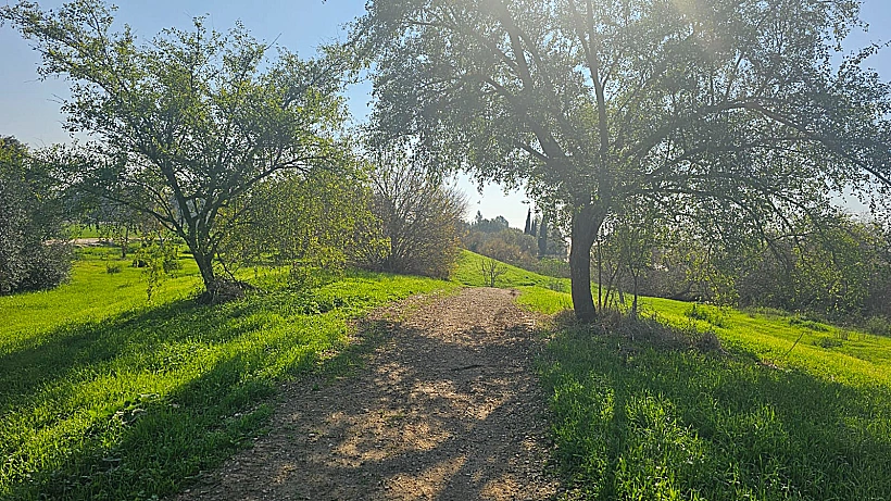 פארק נחל חביבה