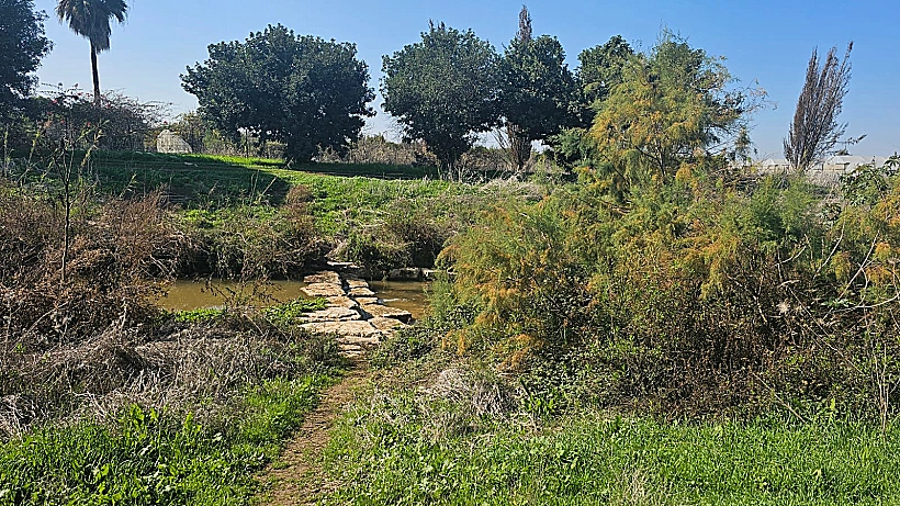 פארק נחל חביבה