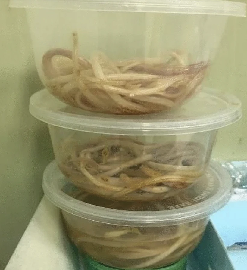 Journal Of Medical Case Report