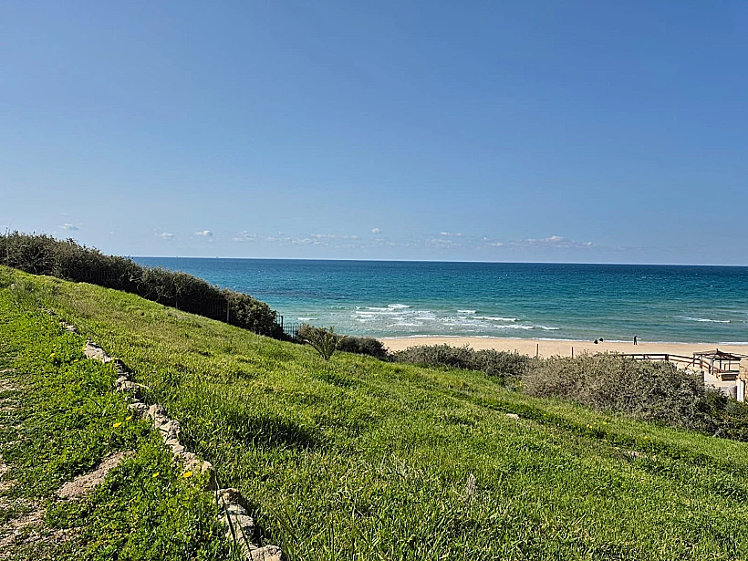 תל אשקלון