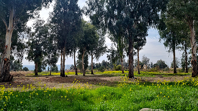 שביל סובב כינרת - מקטע יהודייה, מג'רסה וזאכי