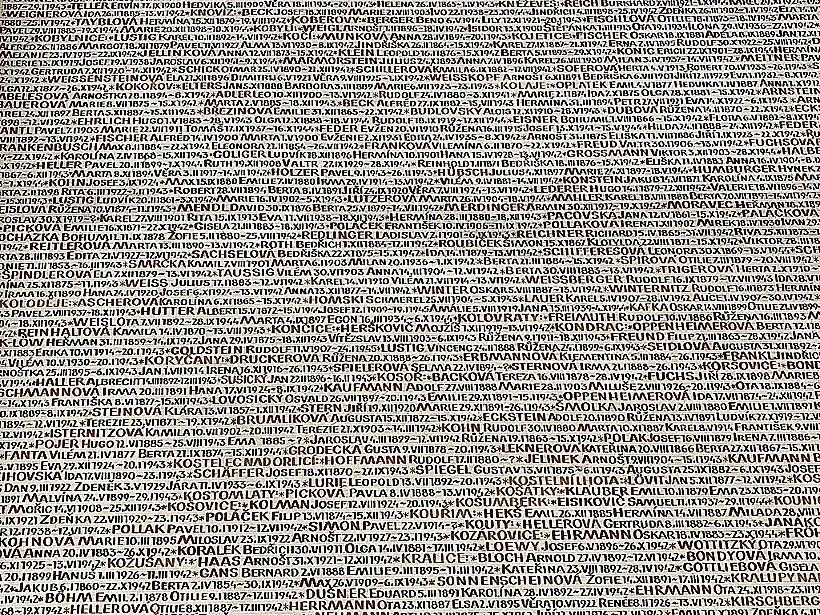 Pinkas Synagogue שמות יהודי קהילות בוהמיה ומורביה שנספו בשואה בבית הכנסת פינקס בפראג