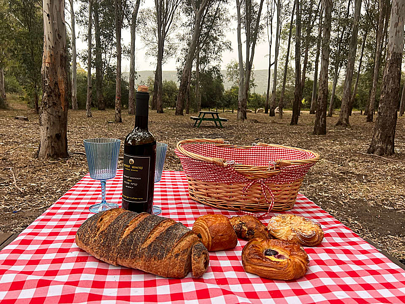 פיקניק בחורשת לימן