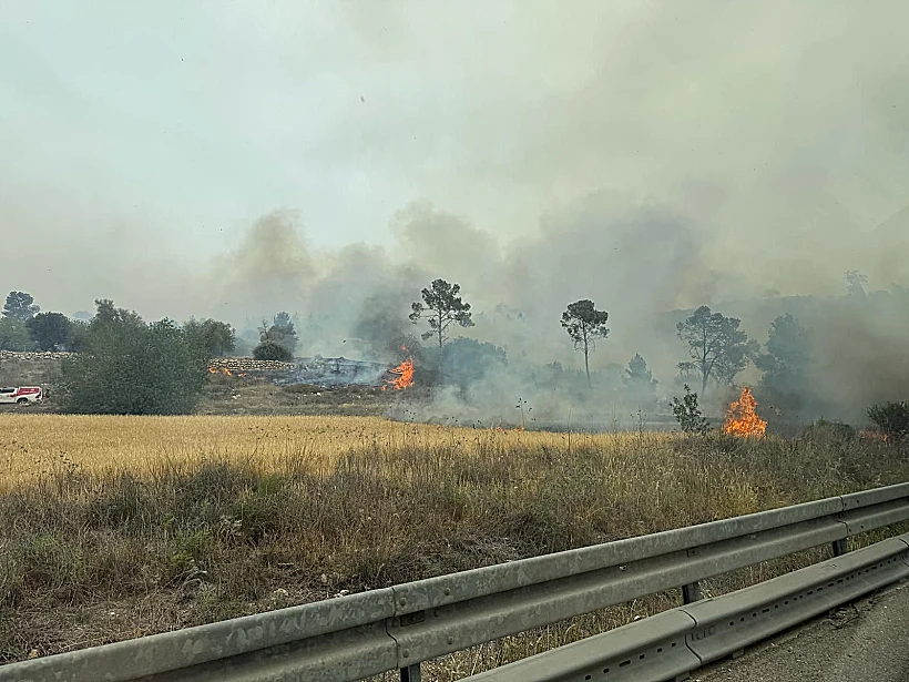 שריפה בשטח פתוח בשפלה