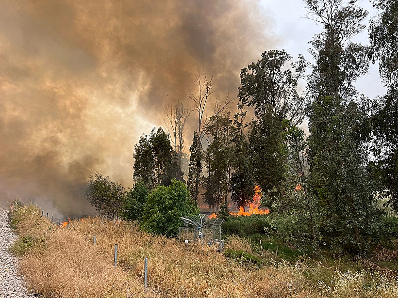 שריפה בשטח פתוח בשפלה