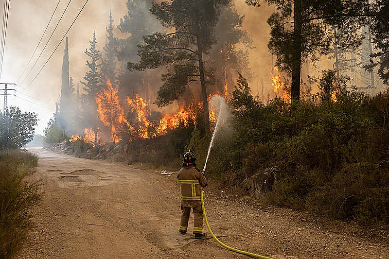 שריפה ביער אשתאול