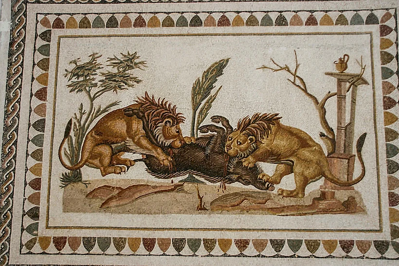 Bite Marks Reveal A Gladiator's Fatal Encounter With A Lion In Ancient Britain