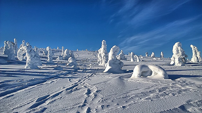 הפארק הלאומי Riisitunturi בלפלנד