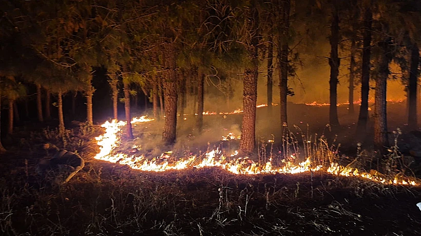 שריפה בשטח פתוח במצפה אילן