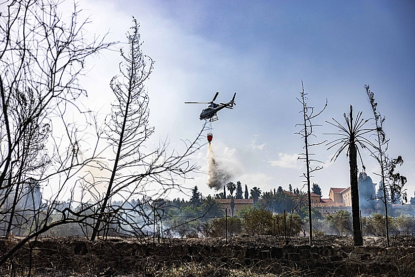 נזקי השריפות בהרי ירושלים