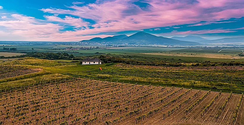 אזור היין של טוקאי, הונגריה