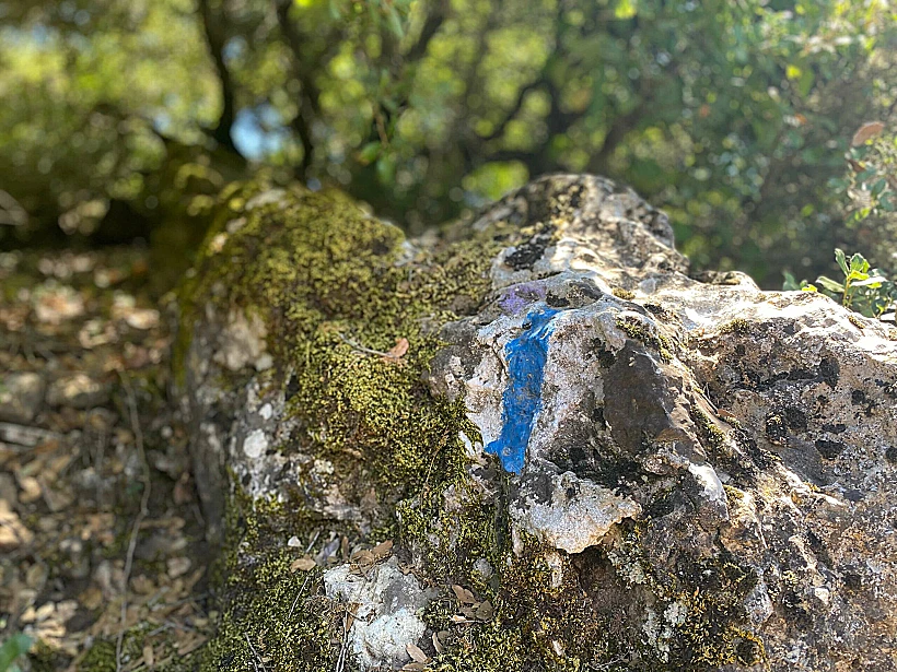 שביל הפסגה בהר מירון