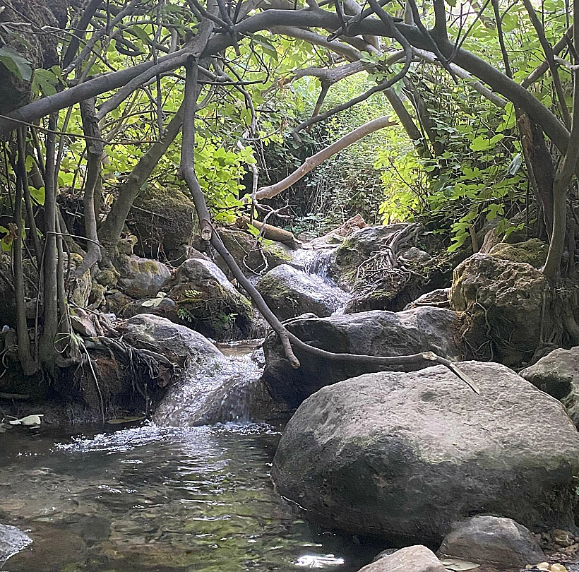 מעיינות בהר מירון