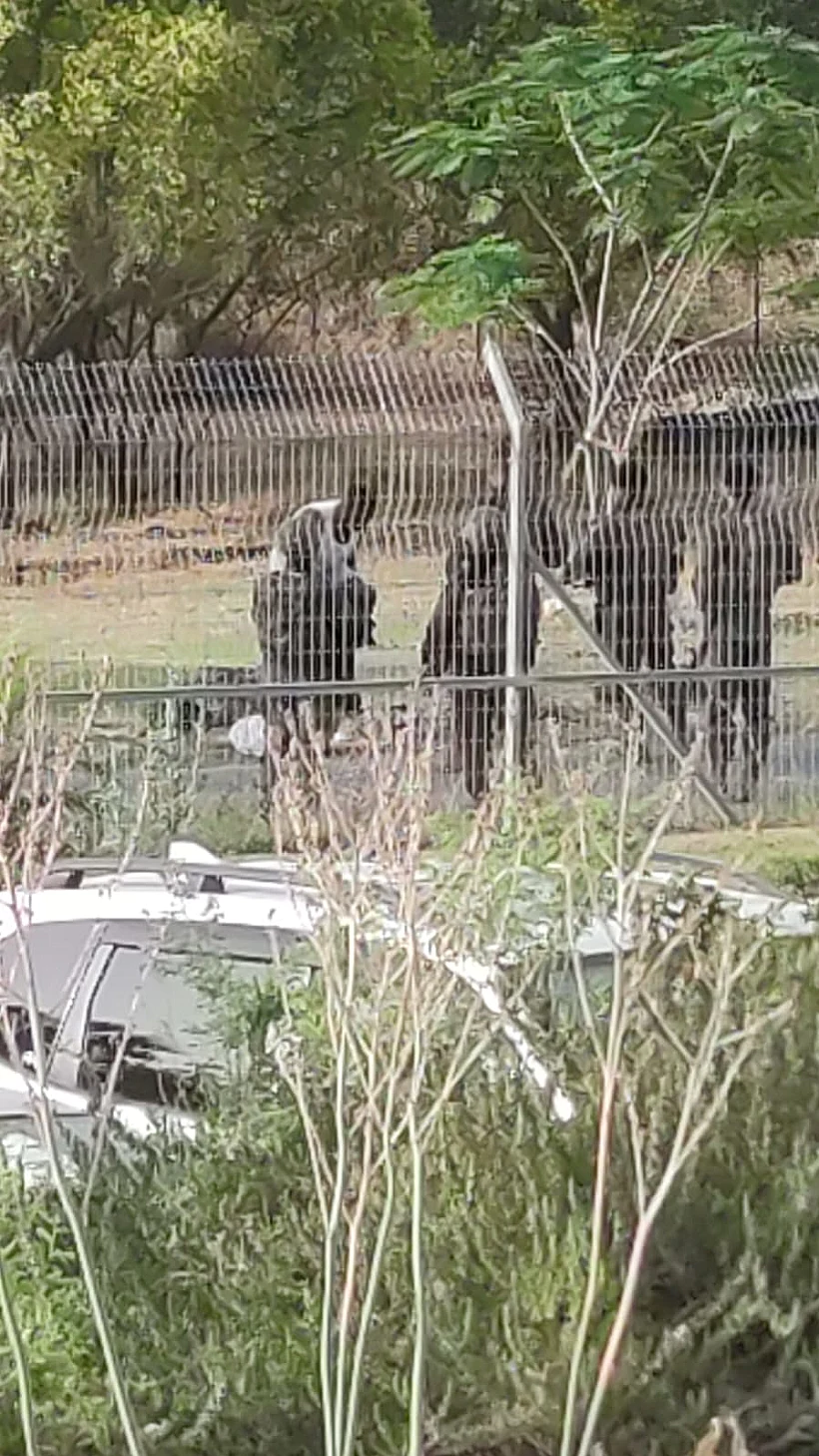 האזרח הזר שחצה לשטח ישראל מירדן