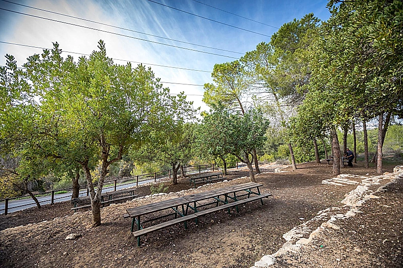 שביל הארז ירושלים