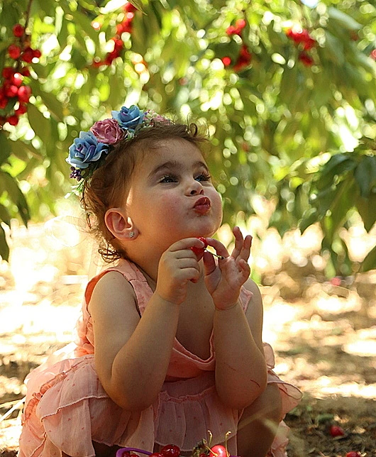 חוות הסוס והדובדבן