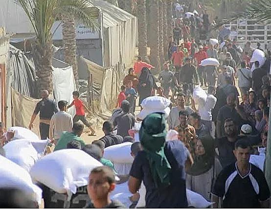 בוזזים שקי קמח בעזה