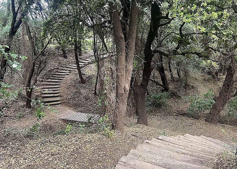 המדרגות אל מערת פער