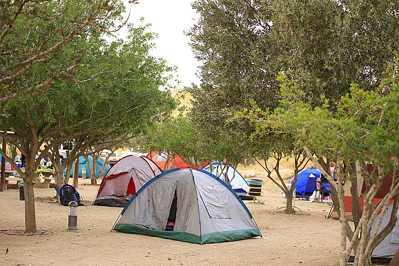 חניון לילה תל ערד
