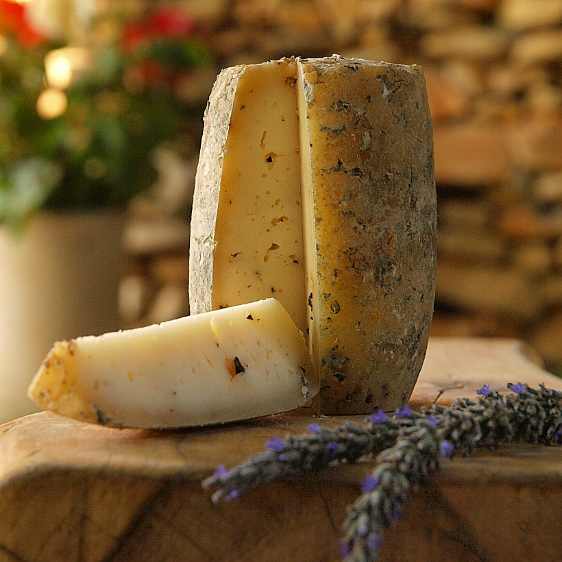 חלב עם הרוח ביודפת