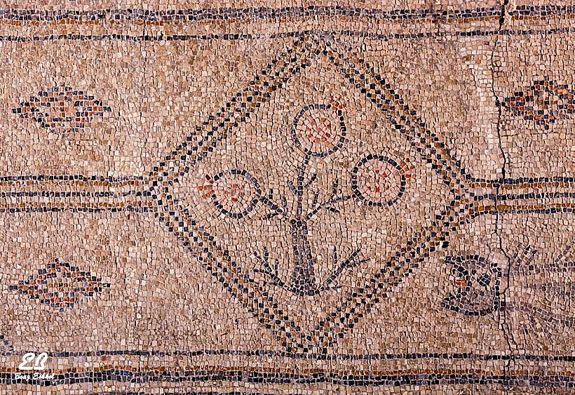 רימונים בפסיפס בגן לאומי בית אלפא