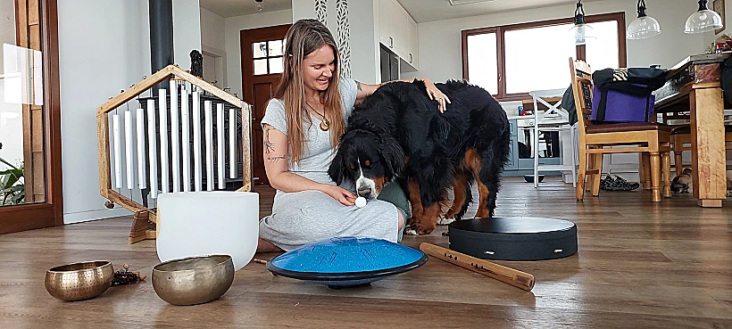 ויקה הויקינגית מקלע אלון