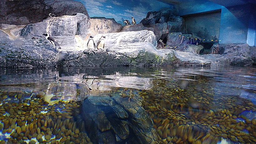 Sea Life Bangkok Ocean World