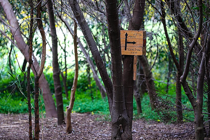 השביל הנסתר של תל מיכל