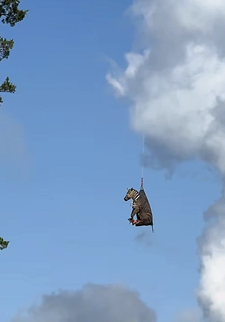 Rutherford County Sheriffs Off