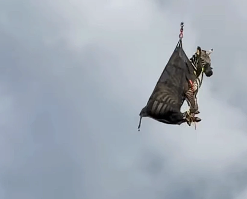 Rutherford County Sheriffs Off