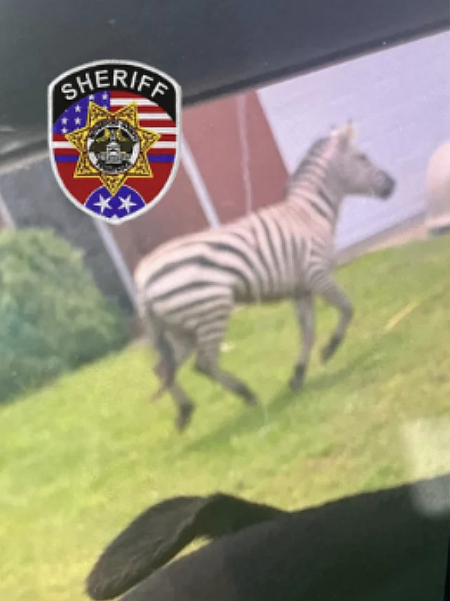 Rutherford County Sheriffs Off