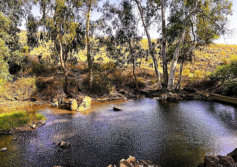 מעיין עין תות (עין אניעם)