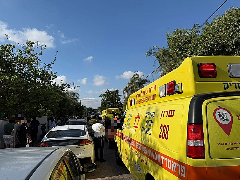 הזירה באליכין בה נשכחו פעוטות ברכב