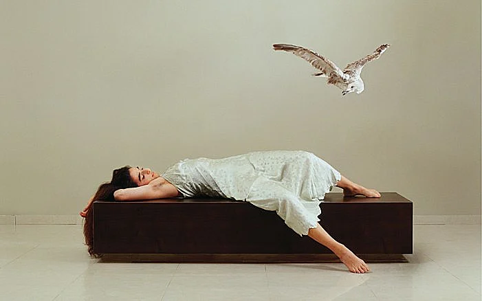 תערוכת "חלומות צלולים